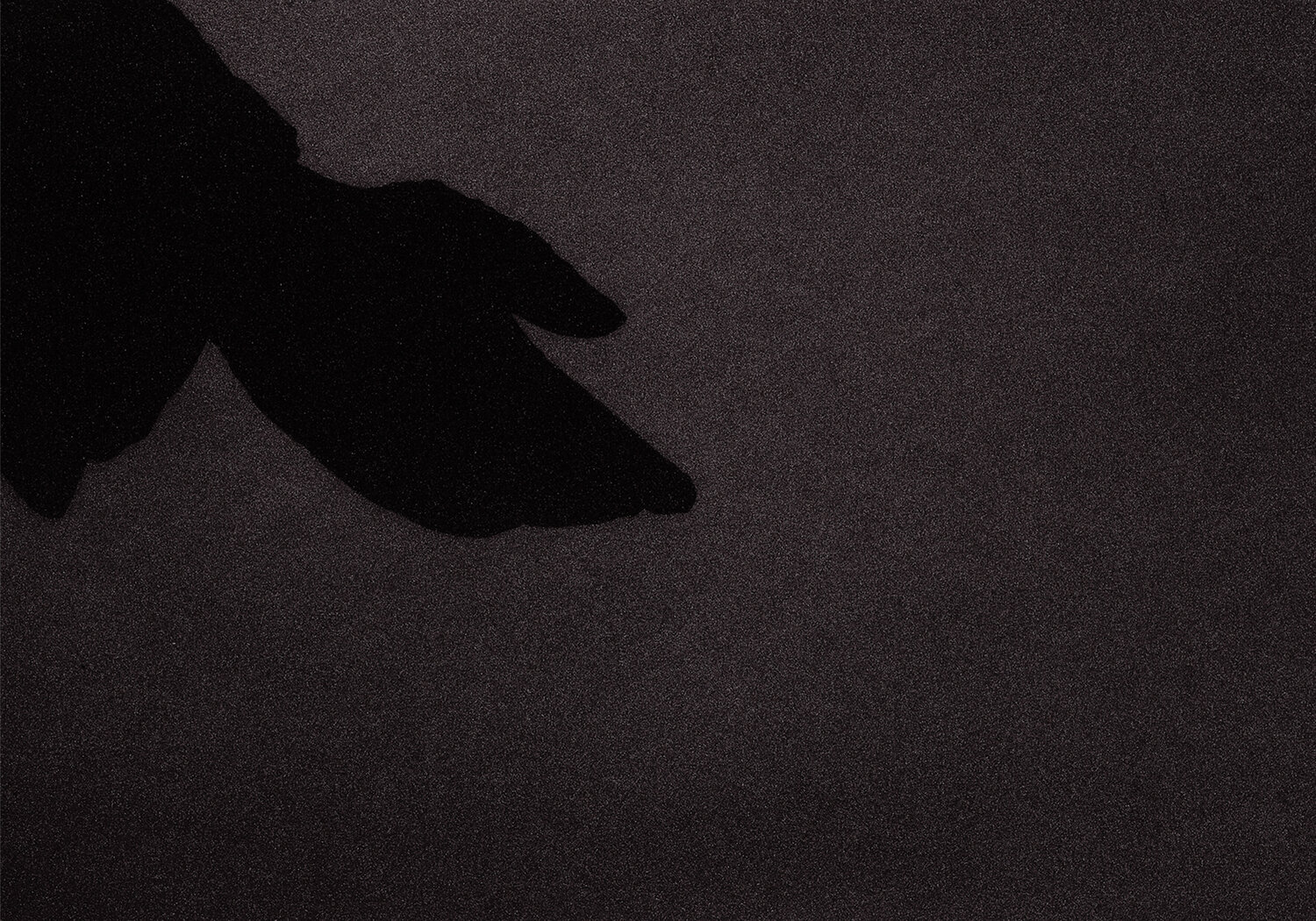 berlin minimal: Die Hand des Comenius Andreas Bromba