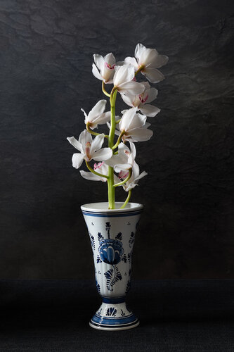 White Meave di Marieke Treffers, Fotografia in vendita su Singulart