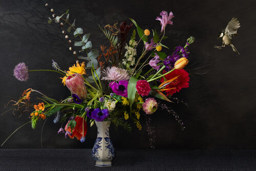 Bird di Marieke Treffers, Fotografia in vendita su Singulart