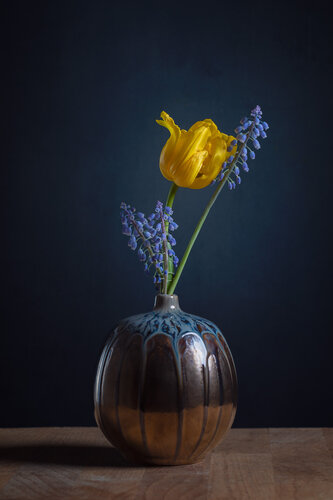 Spring is in the Air di Marieke Treffers, Fotografia in vendita su Singulart