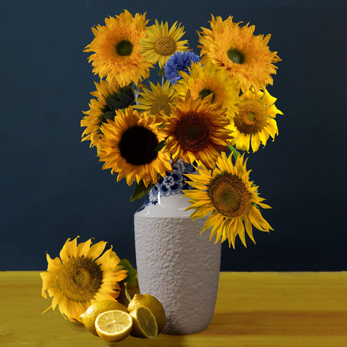 Zesty Sunflowers di Marieke Treffers, Fotografia in vendita su Singulart