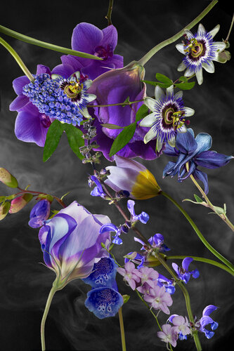 Purple haze par Marieke Treffers, Photographie en vente sur Singulart