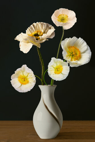 Poppies de Marieke Treffers, Fotografía a la venta en Singulart