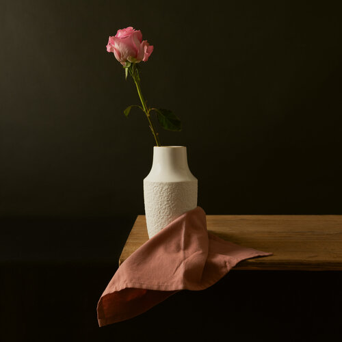 Pink Rose Marieke Treffers