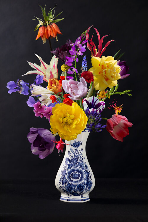 Euforia Marieke Treffers