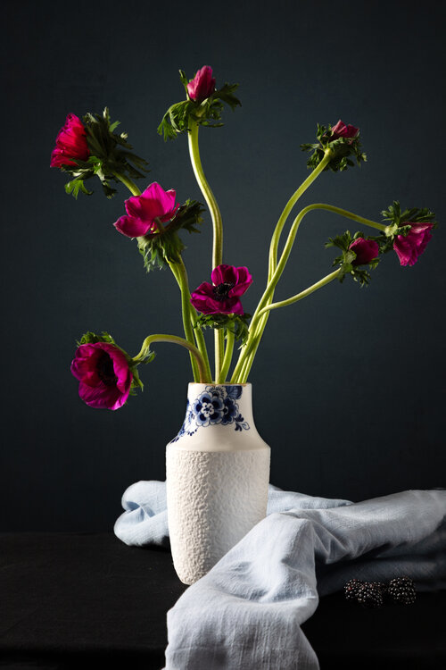 Anemone/ Windflower Marieke Treffers