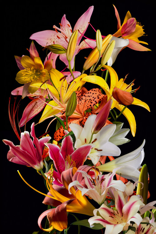 Yellow String Marieke Treffers