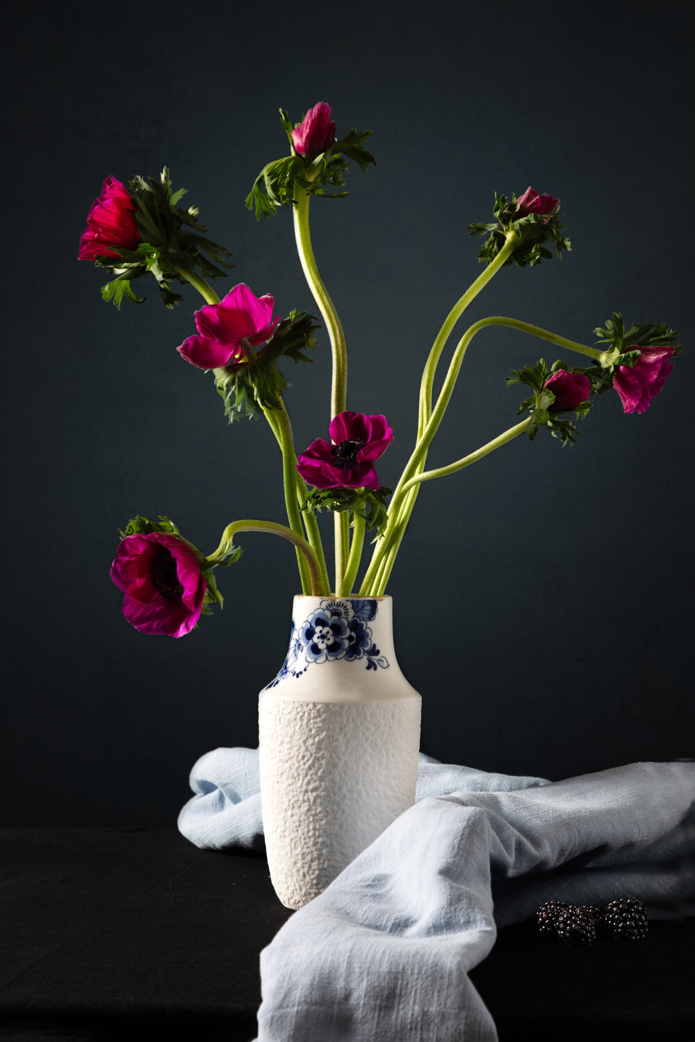Anemone/ Windflower Marieke Treffers