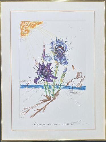 Salvador Dalí (1904–1989) - Coloured drypoint etching on heliogravures - 1972 von Salvador Dalí, Druck kaufen auf Singulart