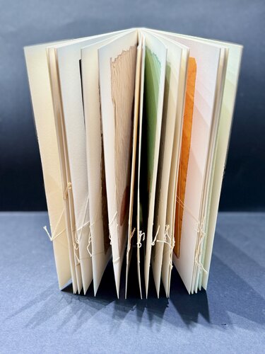 Maria Lai (1919–2013) - Il Dio distratto - Book with interventions by the artist on each page - 1994 di Maria Lai, Opera su carta in vendita su Singulart