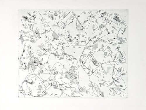 Jan Voss (1936) - Lithograph on BFK Rives paper - 1981 di Jan Voss, Stampa in vendita su Singulart