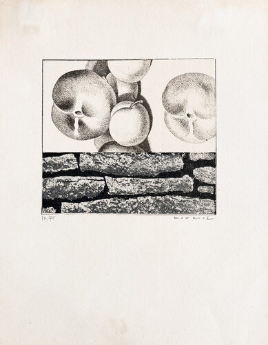 Max Ernst (1891–1976) - Fruits défendus - Photolithography on paper - 1968 by Max Ernst, Print for Sale on Singulart
