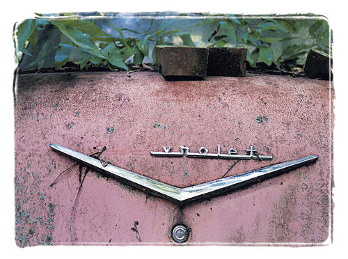 C'est La Vie (from "Oil is History" Collection) (Classic Car, Graveyard, Vintage) von Louise Marler, Druck kaufen auf Singulart