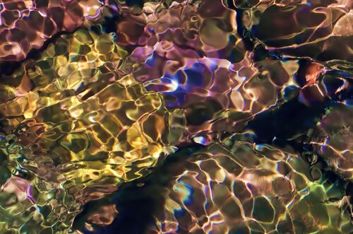 Korakuen I di Sjaak Tool, Fotografia in vendita su Singulart