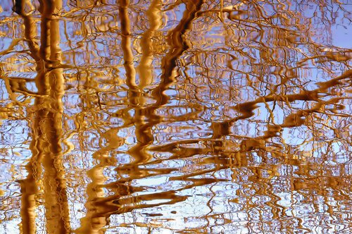 Reflection III par Sjaak Tool, Photographie en vente sur Singulart