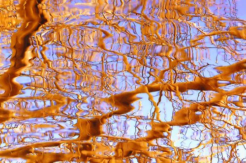 Reflection XIV par Sjaak Tool, Digital en vente sur Singulart