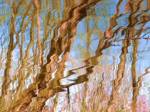Reflection XI di Sjaak Tool, Fotografia in vendita su Singulart