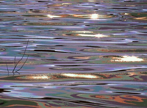 Reflection VIII par Sjaak Tool, Photographie en vente sur Singulart