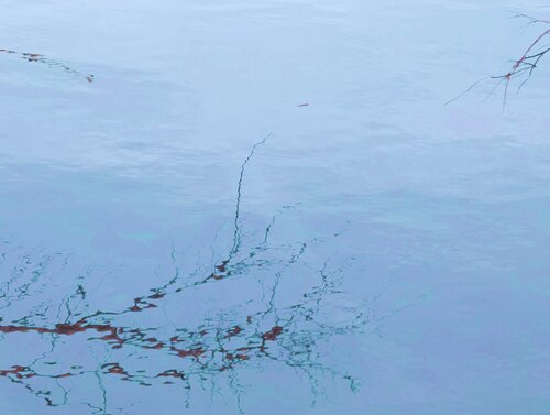 Reflection XVI von Sjaak Tool, Digital kaufen auf Singulart