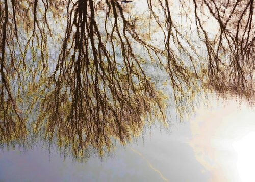 Winter III de Sjaak Tool, Digital a la venta en Singulart