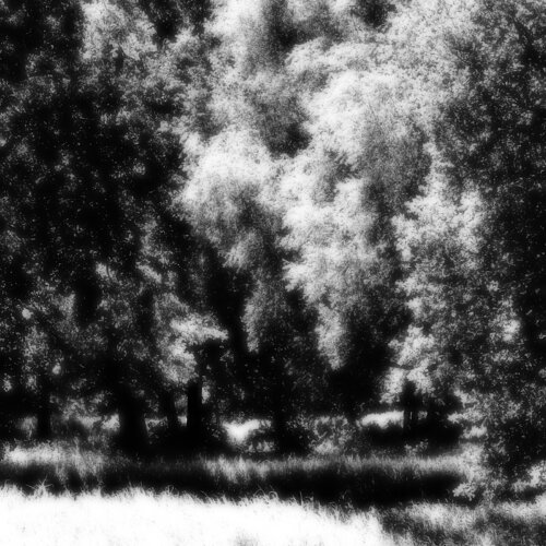 Dance of light II by Sjaak Tool, Digital for Sale on Singulart