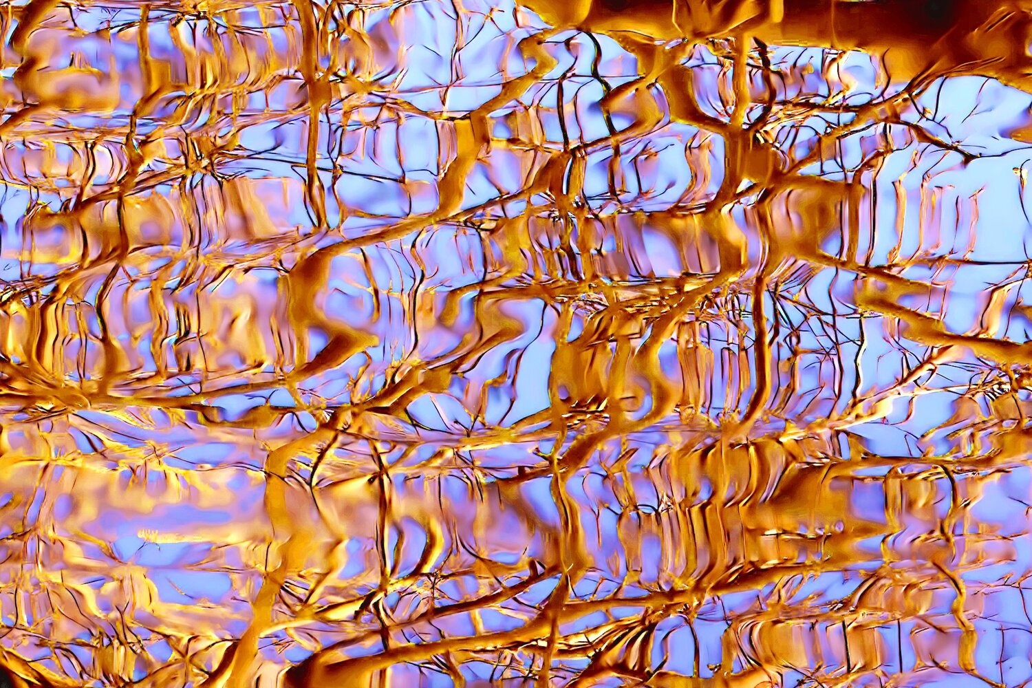 Reflection XIII Sjaak Tool