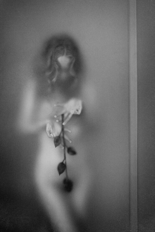The Story of a Rose Ruslan Bolgov