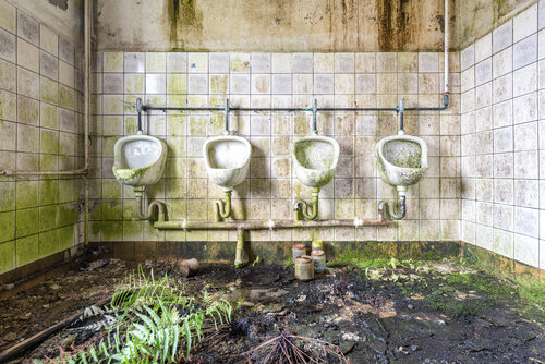 Contrôle positif - Caisse américaine bois noir Francis Meslet