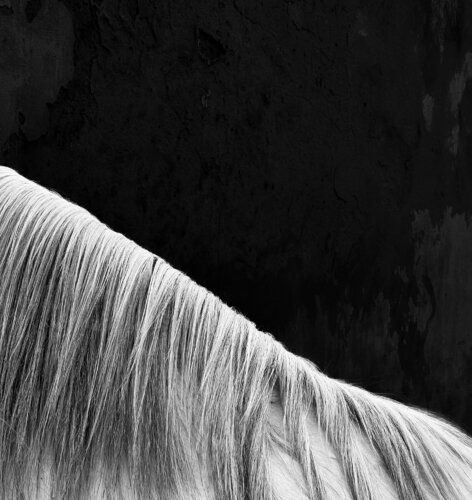 AV VI di Alva Martin, Fotografia in vendita su Singulart