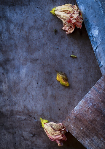 FV XIV by Alva Martin, 写真 for Sale on Singulart