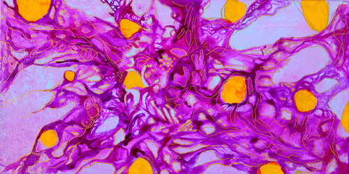 233. Blue Wings Spread Out Wide In A Purple Dream Sky di Veera Zukova, Pittura in vendita su Singulart