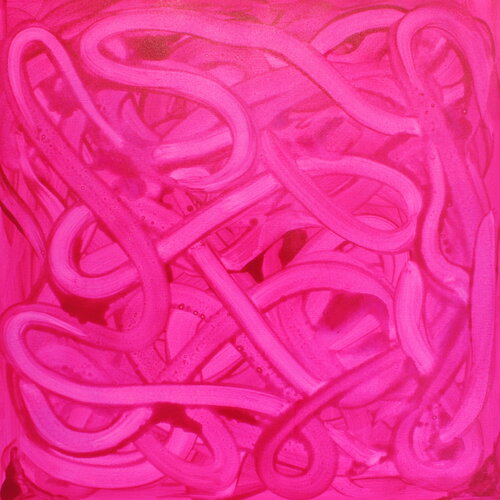 144. Puzzle van Veera Zukova, Schilderij te koop op Singulart