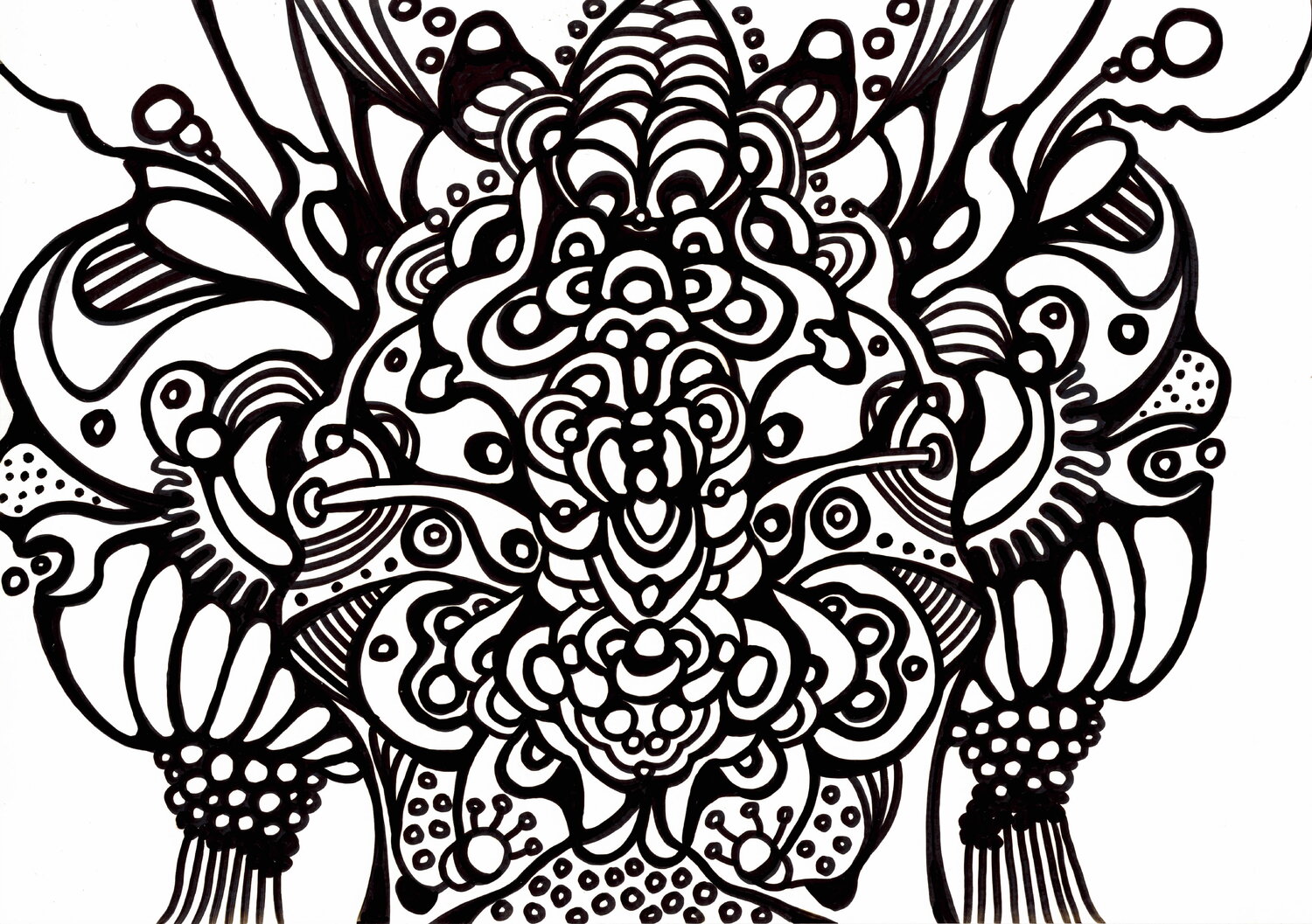 654. Sinus Veera Zukova