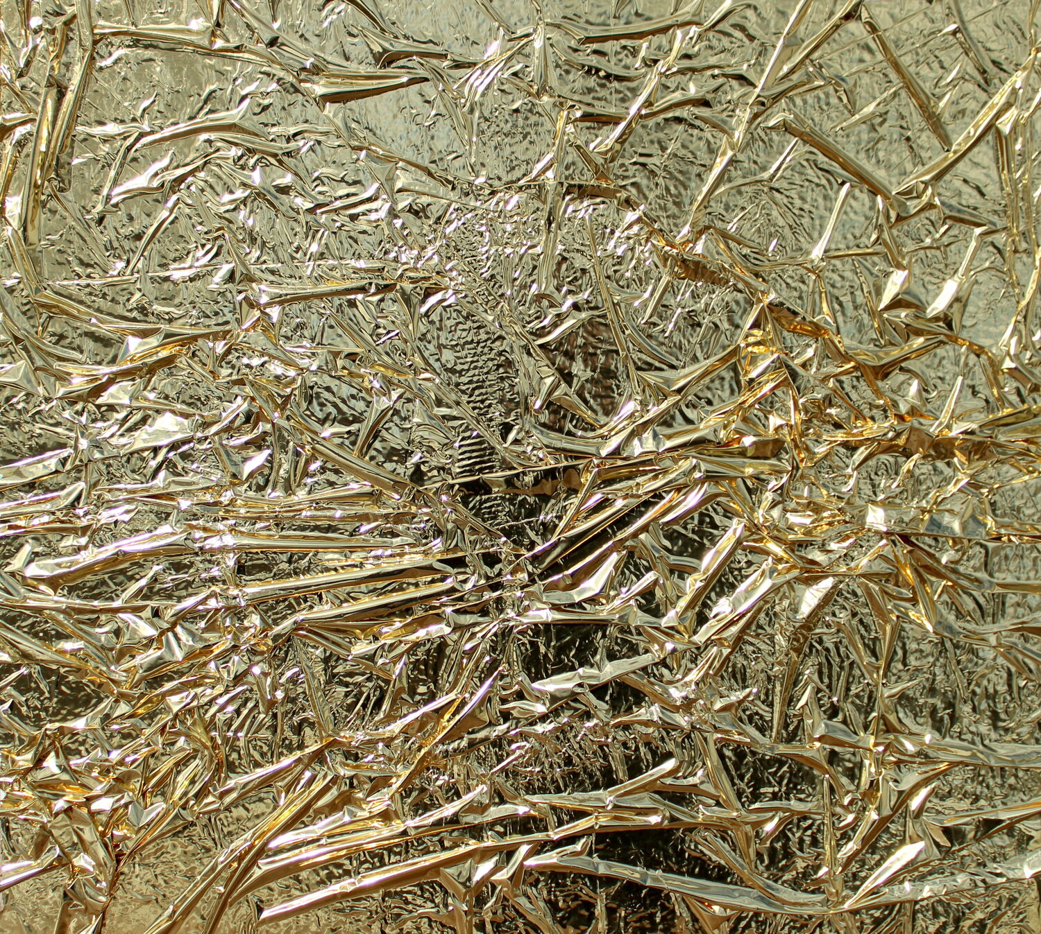 520. Golden gold Veera Zukova