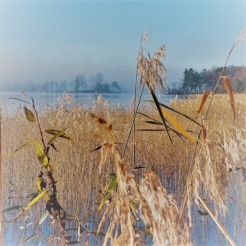 Gentle touch von Katri Pethman, Fotografie kaufen auf Singulart