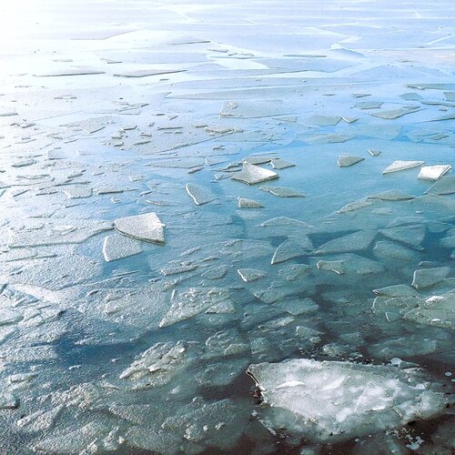 Nature abstracts von Katri Pethman, Fotografie kaufen auf Singulart