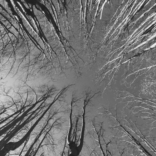 Hands up van Katri Pethman, Fotografie te koop op Singulart