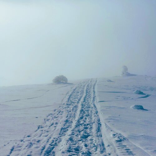 Destination unknown Katri Pethman