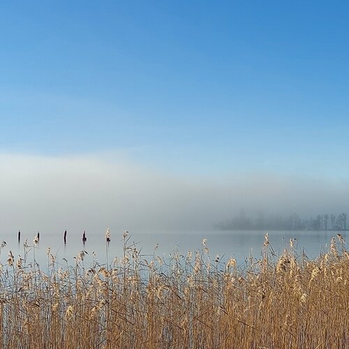 Serenity von Katri Pethman, Fotografie kaufen auf Singulart