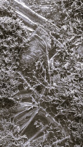 Dive deeper von Katri Pethman, Fotografie kaufen auf Singulart