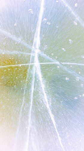 Wow in awe van Katri Pethman, Fotografie te koop op Singulart