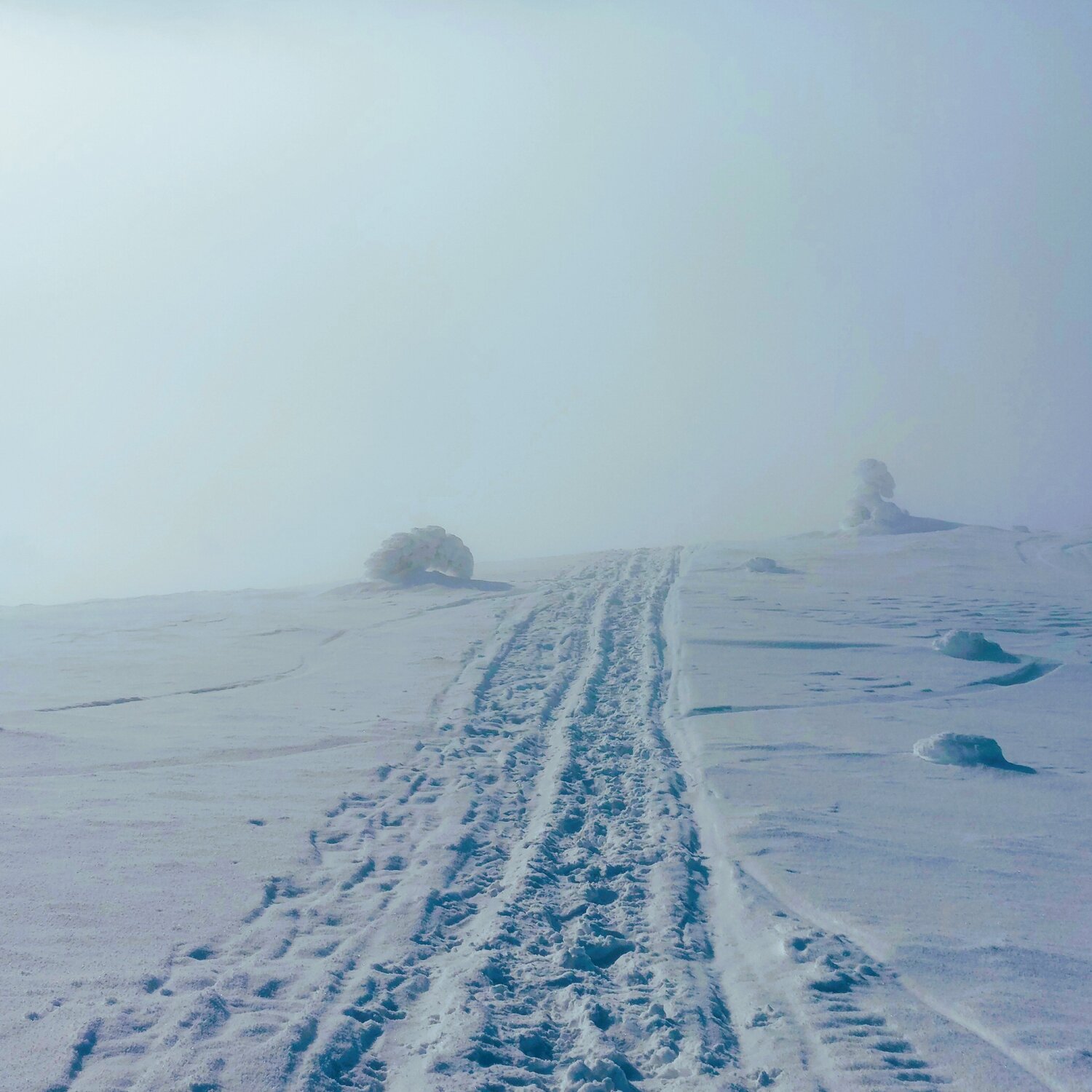 Destination unknown Katri Pethman