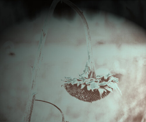 Große Verherrlichung by Ralf Bittner, Photography for Sale on Singulart