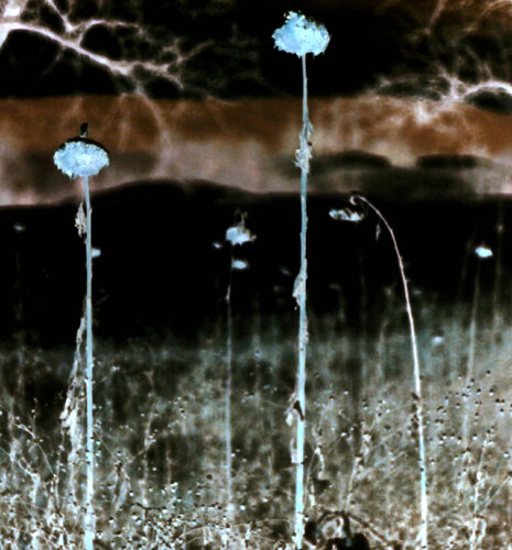 Sol invinctus 5 by Ralf Bittner, Photography for Sale on Singulart