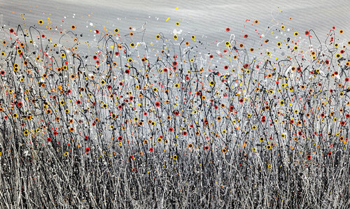 Let There Be Light #18 di Lucy Moore, Pittura in vendita su Singulart
