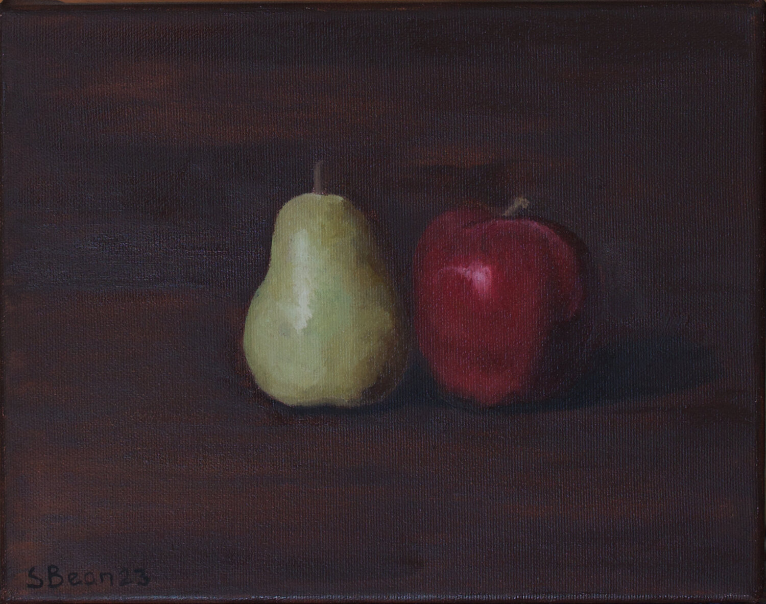 Opposites Attract Suzanne Bean