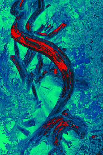 Roots by Viacheslav Haidei, 사진 for Sale on Singulart