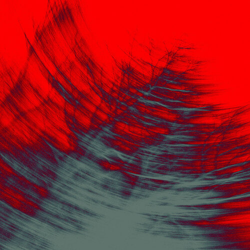 Trees in motion by Viacheslav Haidei, 사진 for Sale on Singulart