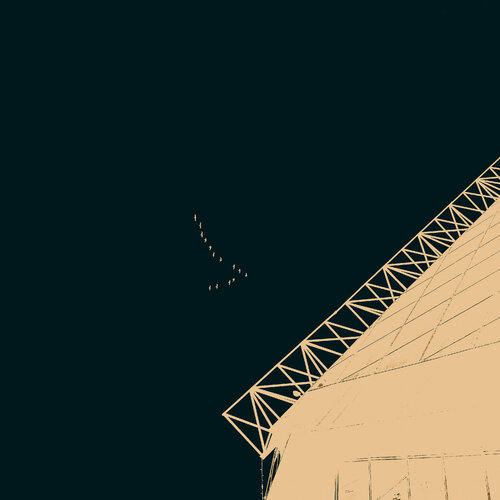 Birds in the sky by Viacheslav Haidei, 사진 for Sale on Singulart