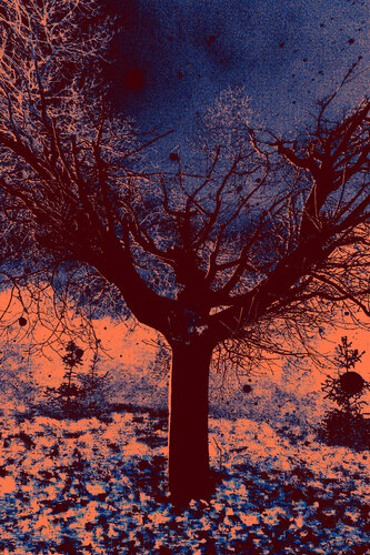 Mystique tree by Viacheslav Haidei, 사진 for Sale on Singulart